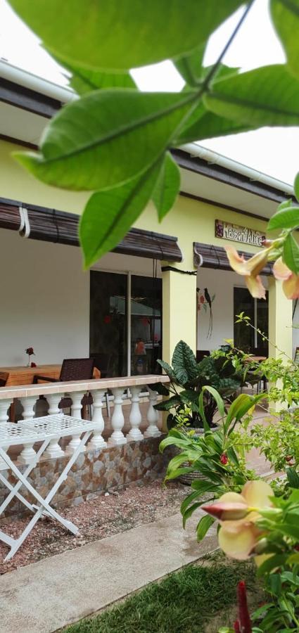 Pension Hibiscus Ла-Диг Экстерьер фото